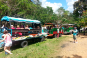 Jeep Safari Truck Adventure