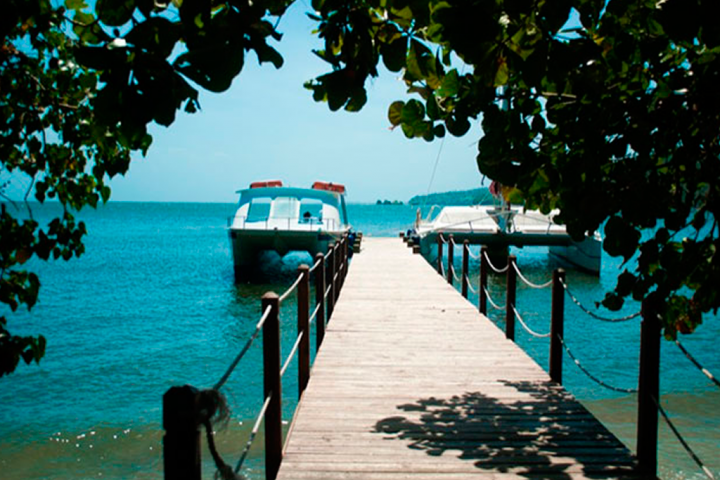 Los Haitises & Cayo Levantado