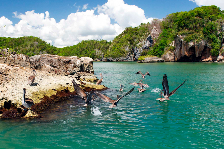 Los Haitises & Cayo Levantado